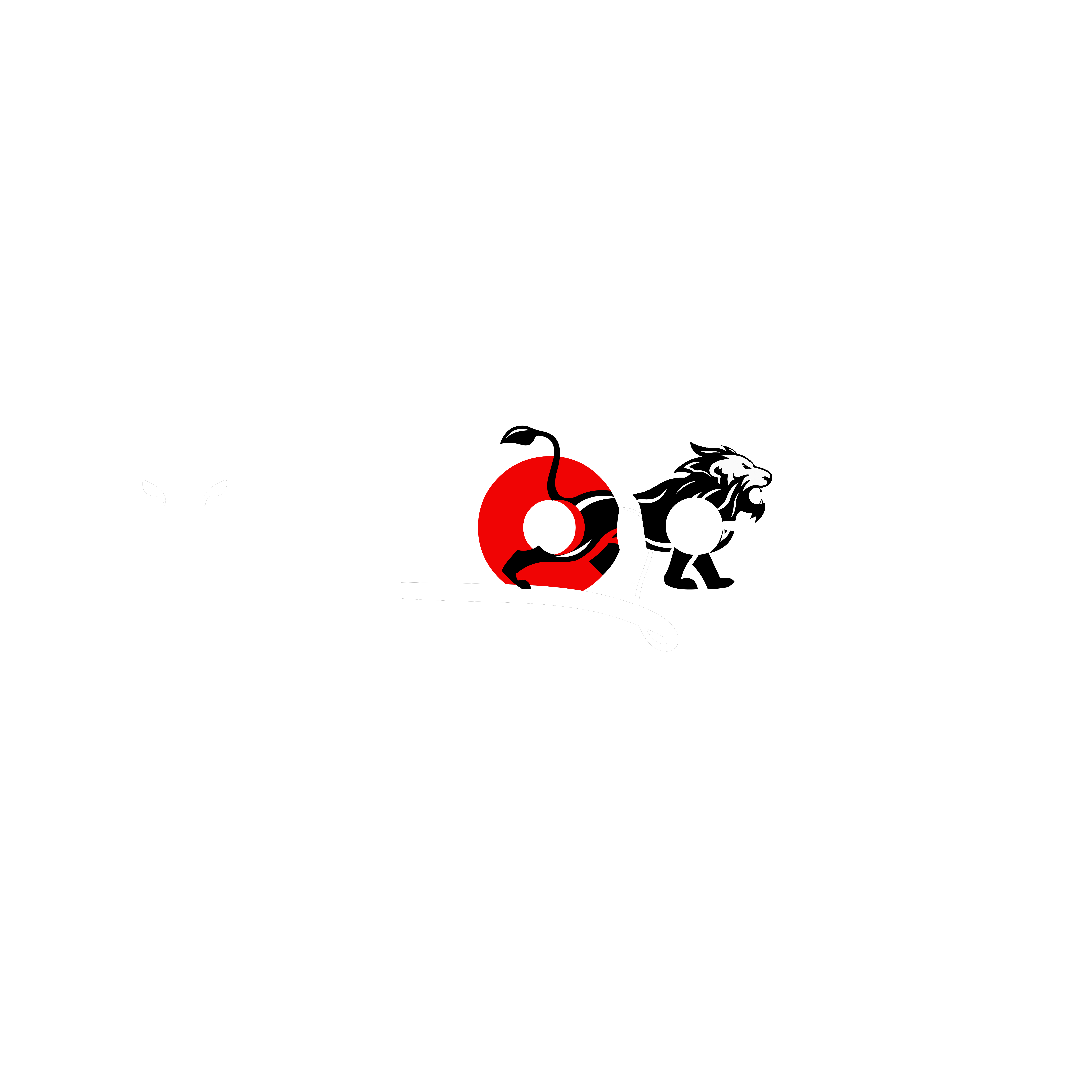 Velfocus Innovations
